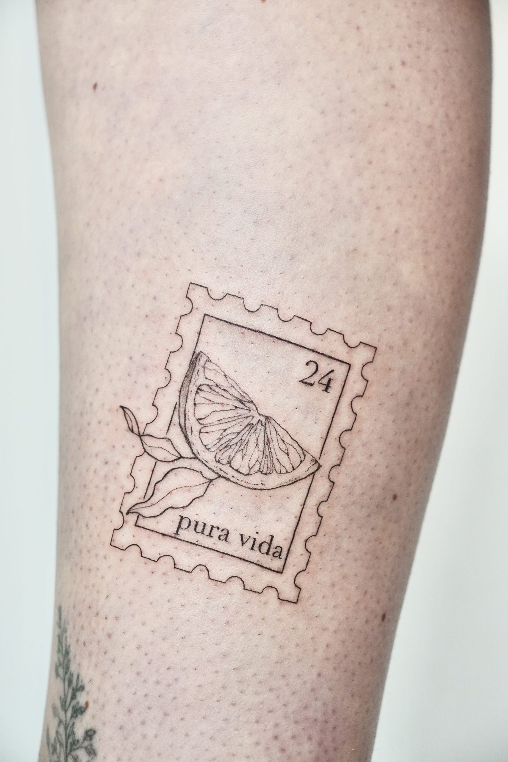 Micro Realism Tattoo Berlin Steglitz - detaillierte Feinarbeit